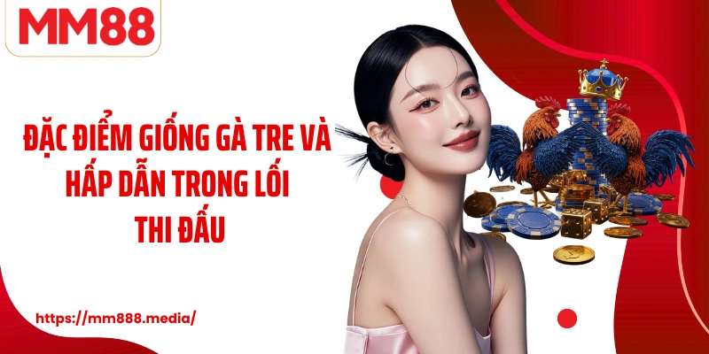 Đặc điểm giống gà tre và hấp dẫn trong lối thi đấu
