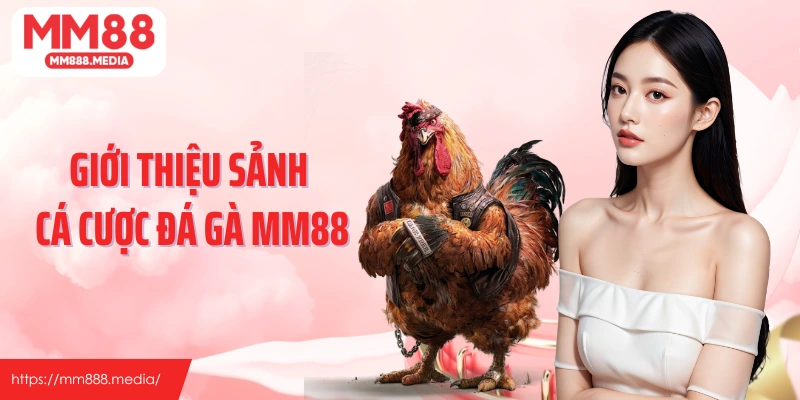 Giới thiệu sảnh cá cược đá gà nổi tiếng và hấp dẫn tại MM88