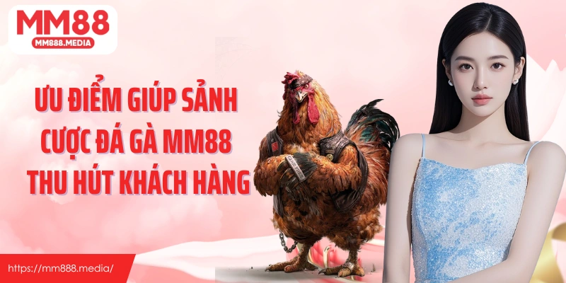 Ưu điểm giúp sảnh cược đá gà MM88 thu hút khách hàng